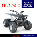 Kinder verwenden Mini Quad Atv